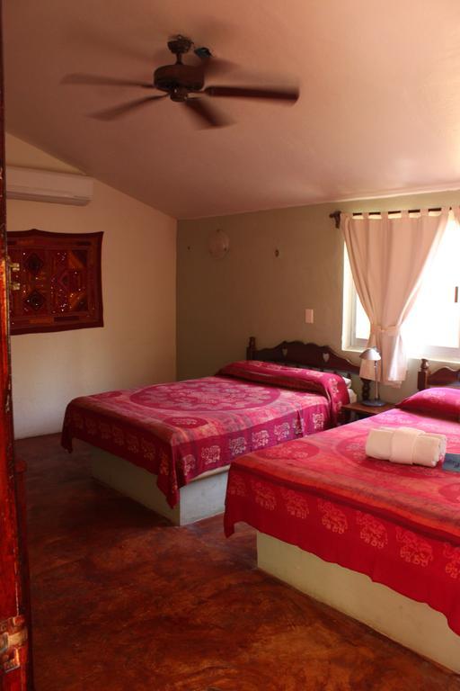 Fusion Beach Hotel Playa del Carmen Chambre photo